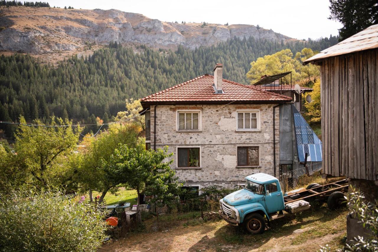 Къща До Гората Триград Villa Dış mekan fotoğraf